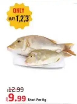 Al Madina Sheri offer