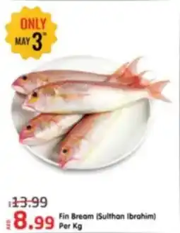 Al Madina Fin Bream offer