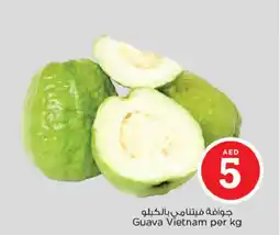 Nesto Guava Vietnam offer