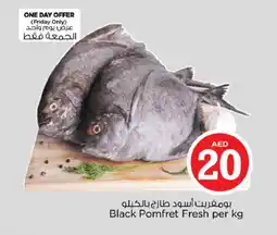 Nesto Black Pomfret Fresh offer