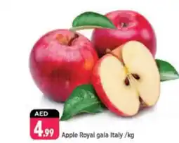 Shaklan Apple Royal gala Italy offer