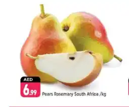 Shaklan Pears Rosemary South Africa offer