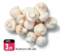 Shaklan Mushroom UAE offer