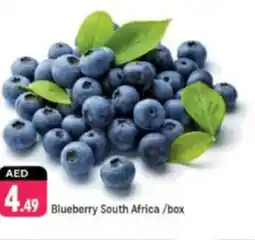 Shaklan Blueberry South Africa offer