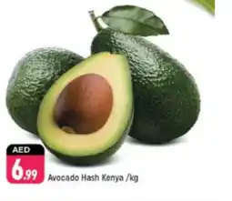 Shaklan Avocado Hash Kenya offer