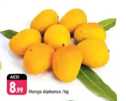 Shaklan Mango Alphonsa offer