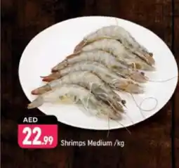 Shaklan Shrimps Medium offer