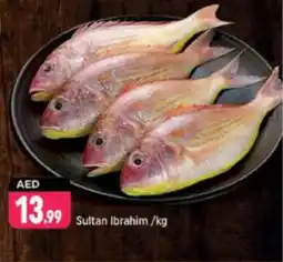 Shaklan Sultan Ibrahim offer