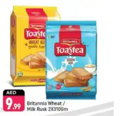 Shaklan Britannia Wheat milk rusk offer