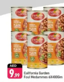 Shaklan California Garden Foul Medammes offer