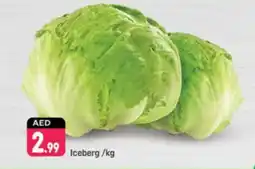 Shaklan Iceberg offer