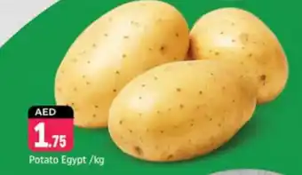 Shaklan Potato Egypt offer