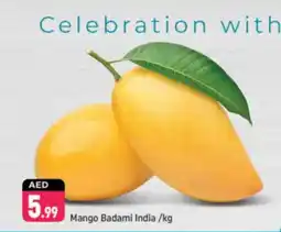 Shaklan Mango Badami India offer