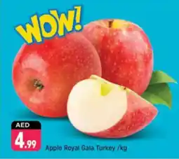 Shaklan Apple Royal Gala Turkey offer