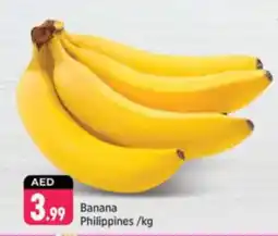 Shaklan Banana Philippines offer
