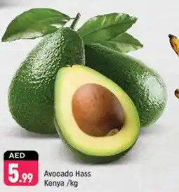 Shaklan Avocado Hass Kenya offer