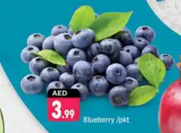 Shaklan Blueberry offer