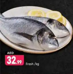 Shaklan Fresh offer