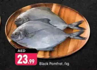 Shaklan Black Pomfret offer
