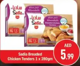 Shaklan Sadia breaded chicken tenders offer