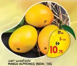 Safari Hypermarket Mango offer