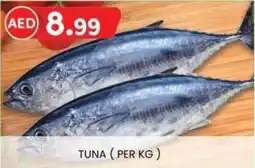 KM Trading Tuna offer