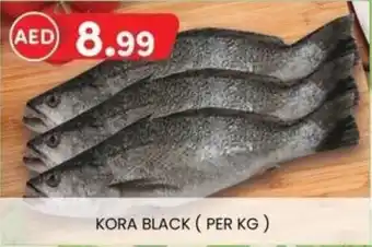 KM Trading Kora black offer