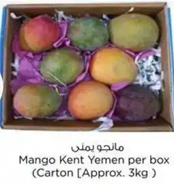Nesto Mango Kent Yemen per box offer