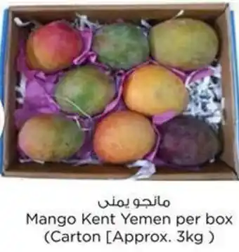 Nesto Mango Kent Yemen per box offer