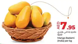 E City Mango Badami offer
