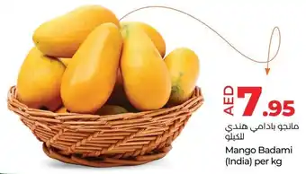 E City Mango Badami offer