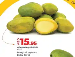 E City Mango Himapasanth offer