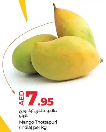 E City Mango Thottapuri offer