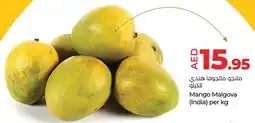 E City Mango Malgova offer