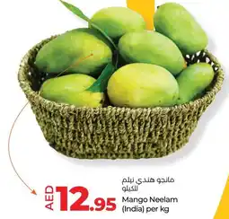 E City Mango Neelam offer