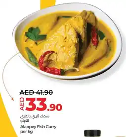 E City Alappey Fish Curry offer