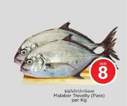 Nesto Malabar Trevally Para offer