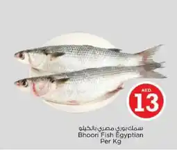Nesto Bhoori Fish Egyptian offer