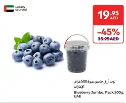 E City Blueberry Jumbo offer