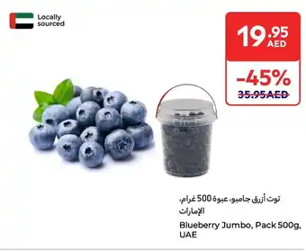 E City Blueberry Jumbo offer