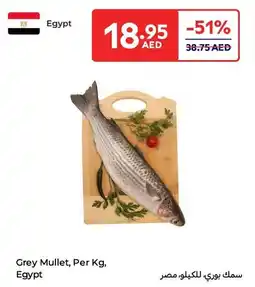 E City Grey Mullet offer