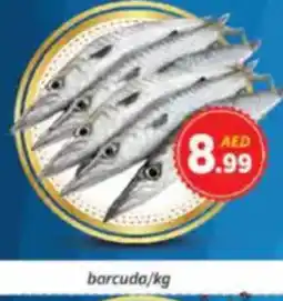AIKO HYPERMARKET barcuda offer