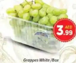 AIKO HYPERMARKET Grapes White offer