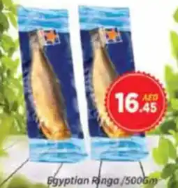 AIKO HYPERMARKET Egyptian Ringa offer
