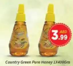 AIKO HYPERMARKET Country Green Pure Honey offer