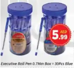 AIKO HYPERMARKET Executive Ball Pen 0.7mm Box offer