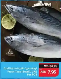 Spar Fresh Tuna (Small offer