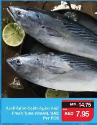 Spar Fresh Tuna (Small offer