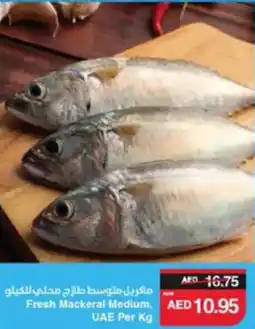 Spar Fresh Mackeral Medium offer