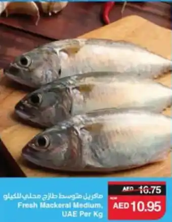 Spar Fresh Mackeral Medium offer